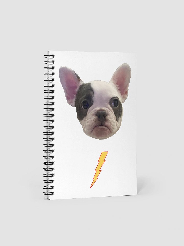 Sage Book product image (1)