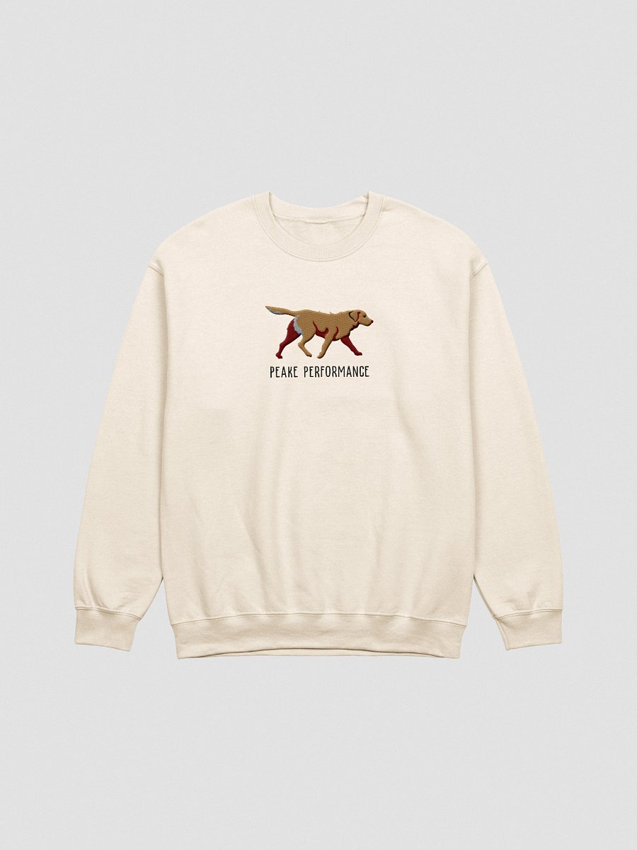 Peake Performance Sweatshirt (Embroidered) of a Chesapeake Bay Retriever(Tan) product image (16)