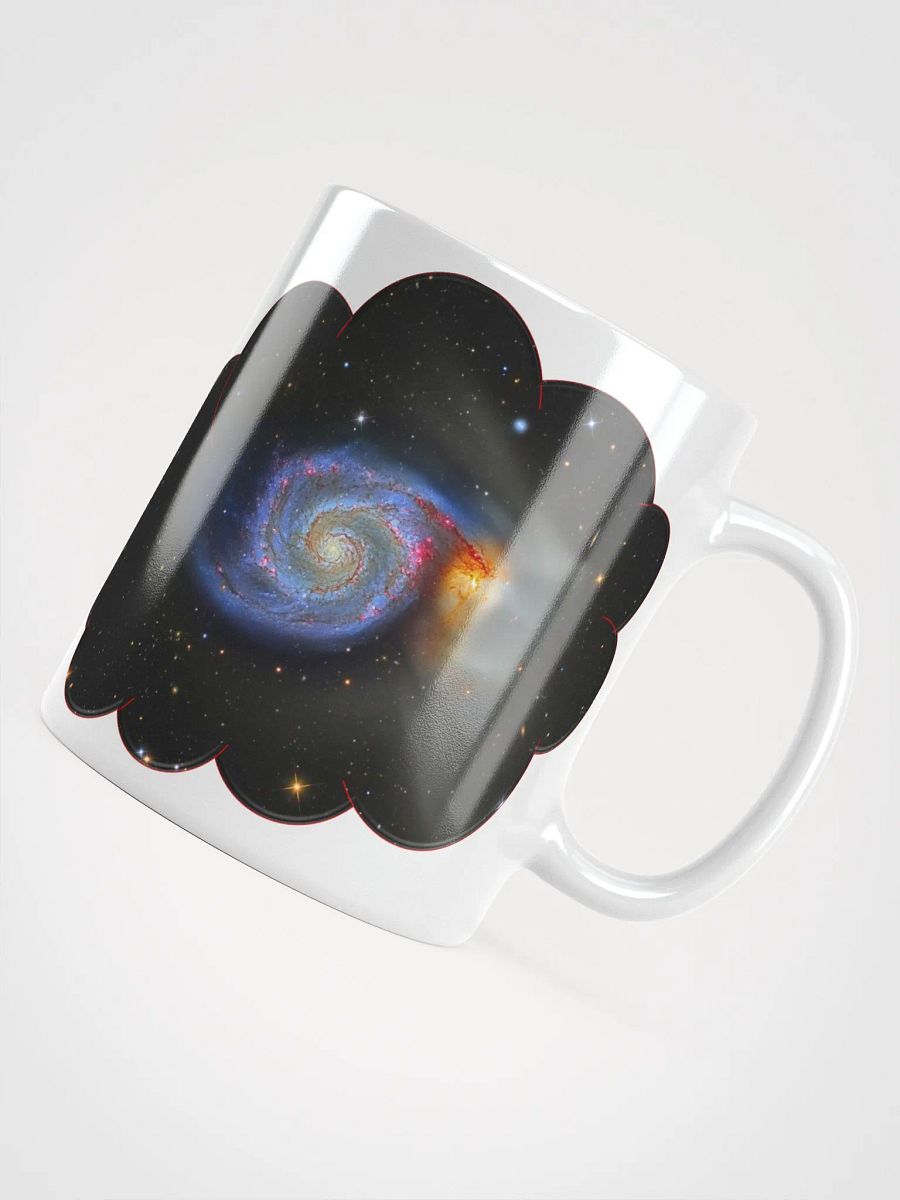 IUCAA Birds WHITE MUG product image (4)