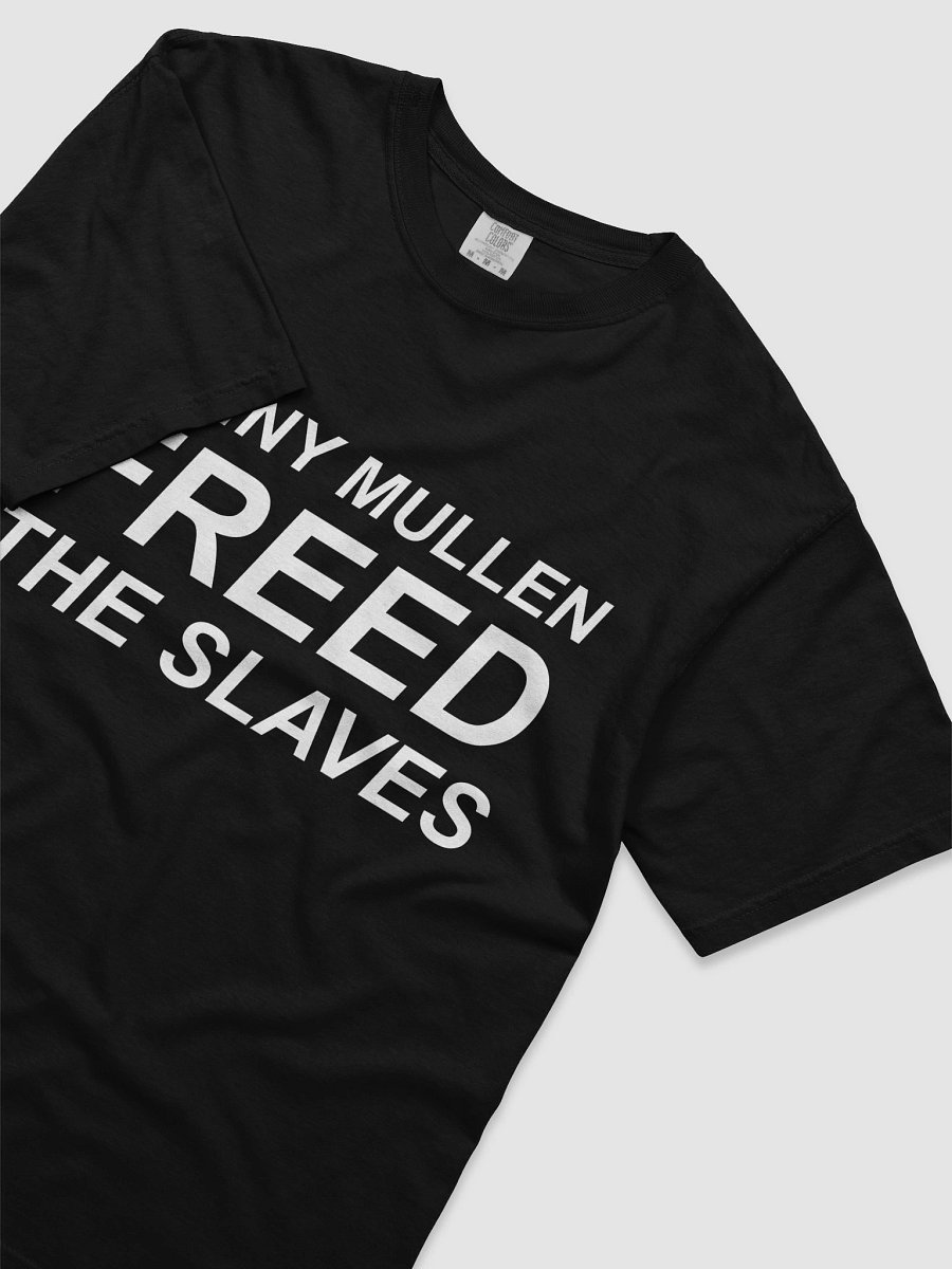 Danny Mullen Freed the Slaves Tee product image (3)