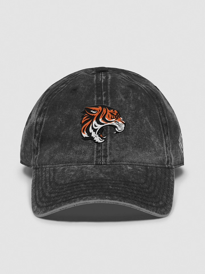 Wichita Wild Wash Dad's Hat product image (2)