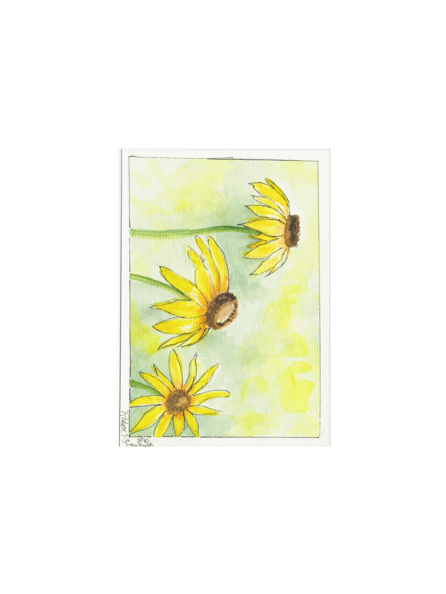 Yellow Cornflowers Print product image (1)