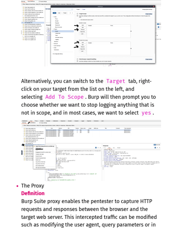 Offensive Security Web Assessor (OSWA) Study Notes (Unofficial) product image (3)