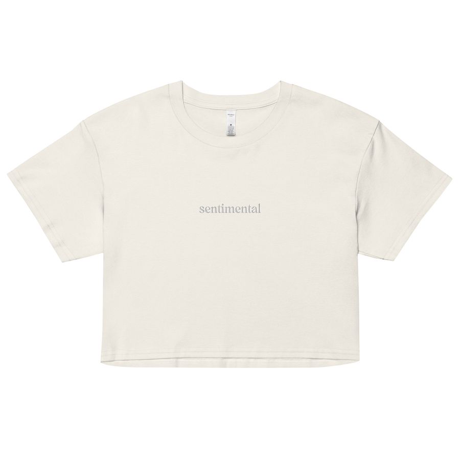 Sentimental Embroidered Crop Top product image (1)