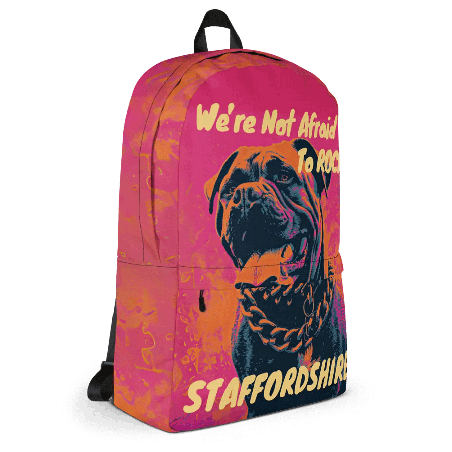We're Not Afraid To Rock Staffordshire Hoodie product image (5)