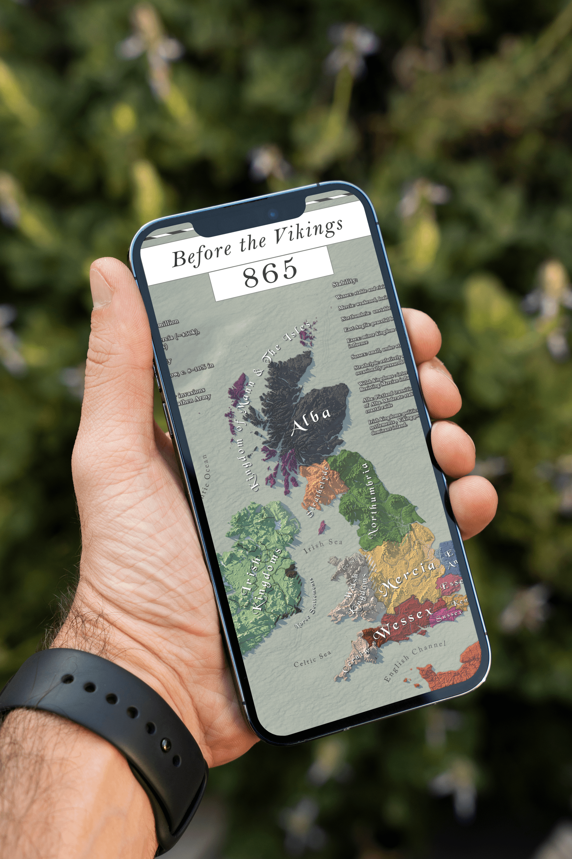 Anglo Saxon Kingdoms - 865 - Digital High-Resolution Map product image (3)