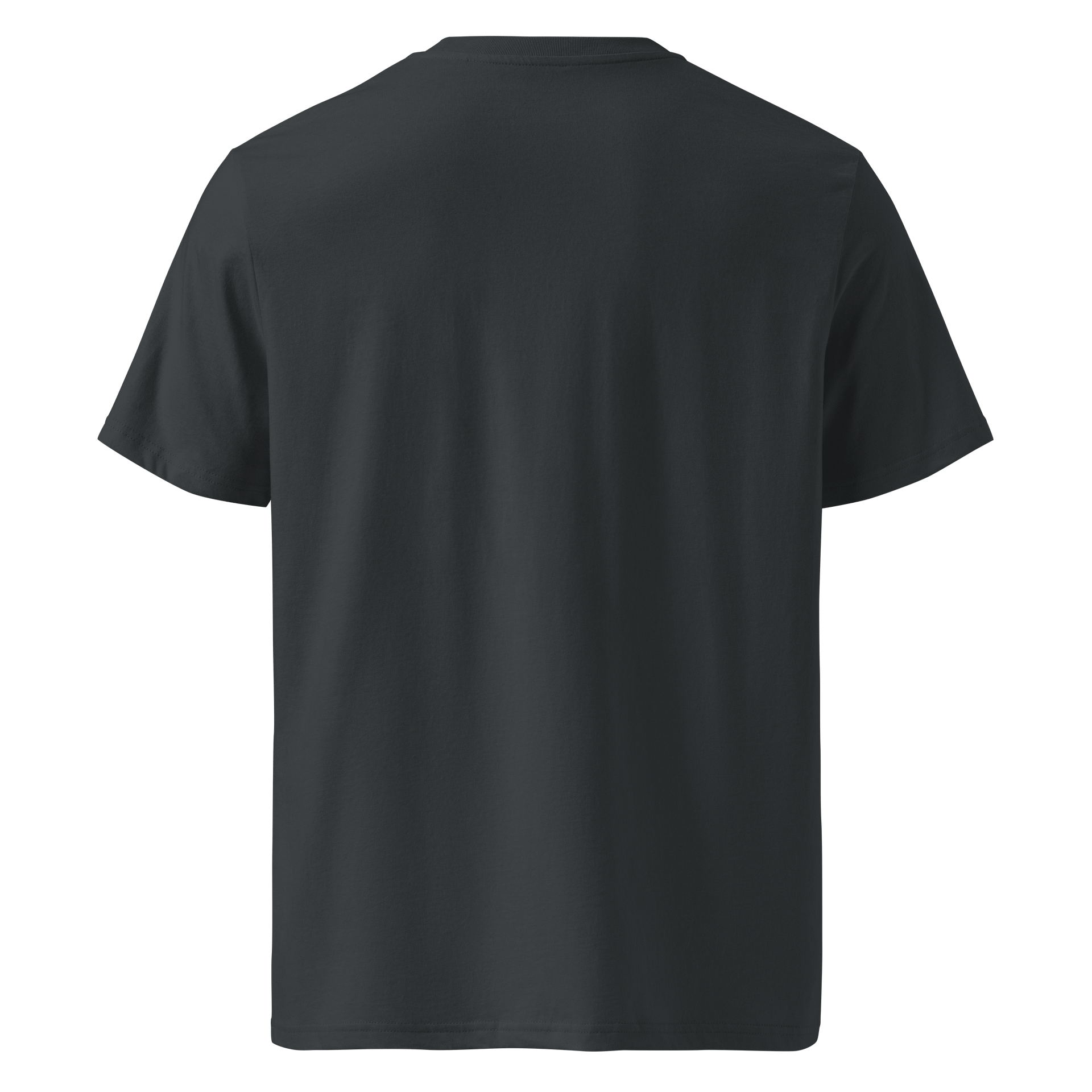 Spartan Legacy Organic Tee product image (2)