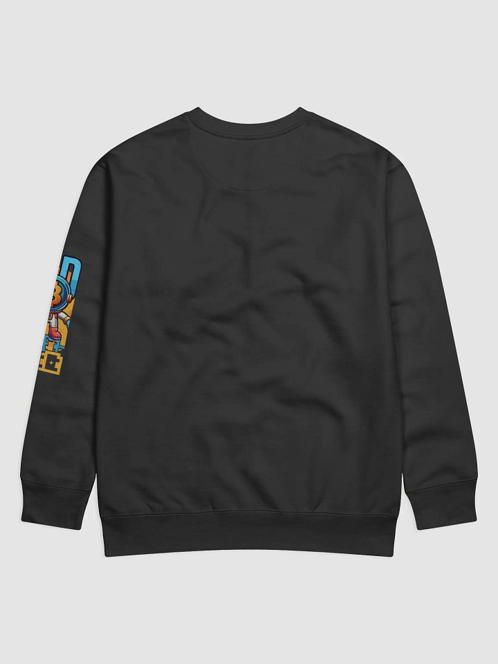 HODL To The Moon Astronaut Sweatshirt product image (2)