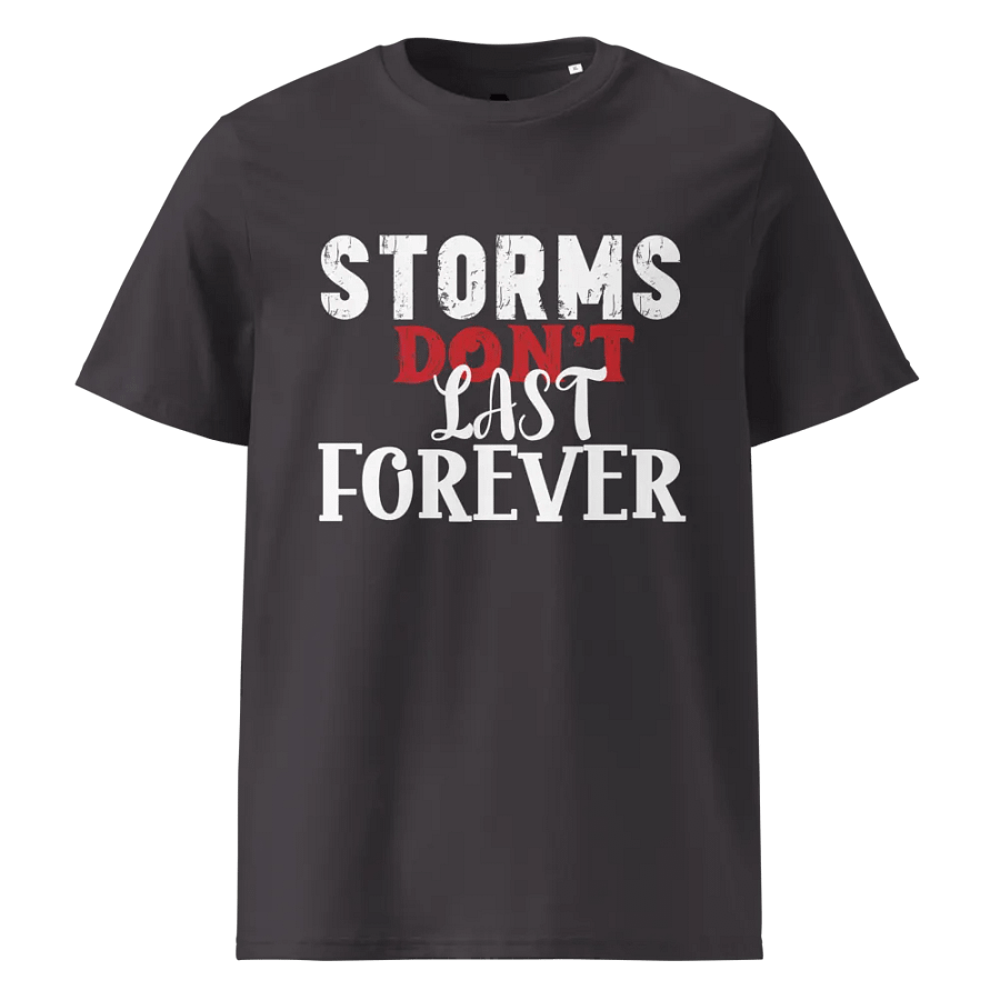 motivational t shirt product image (4)