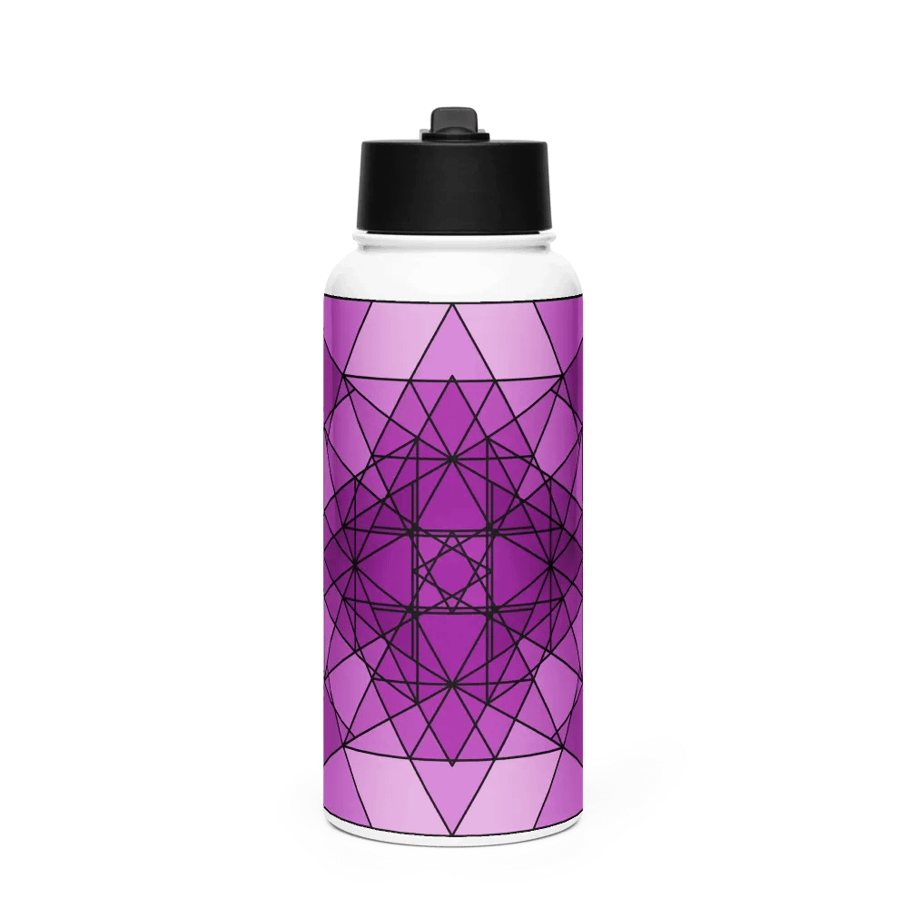 HFden Stainless Steel Bottle with Straw Lid product image (1)