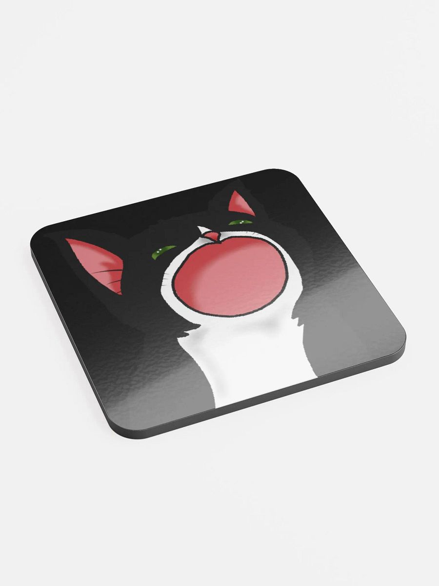 The Sally Coaster! product image (3)