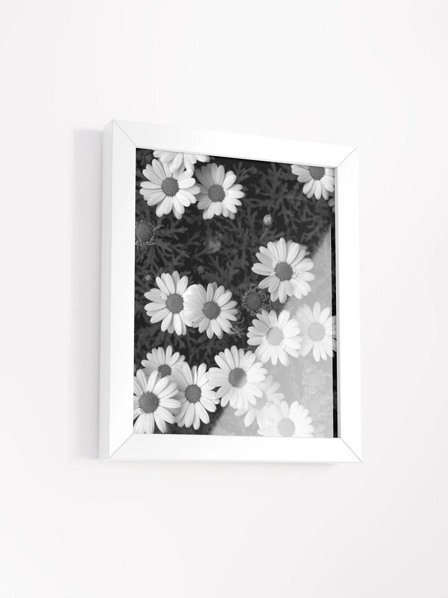 Daisy Flowers - Framed High-Quality Matte Poster product image (2)