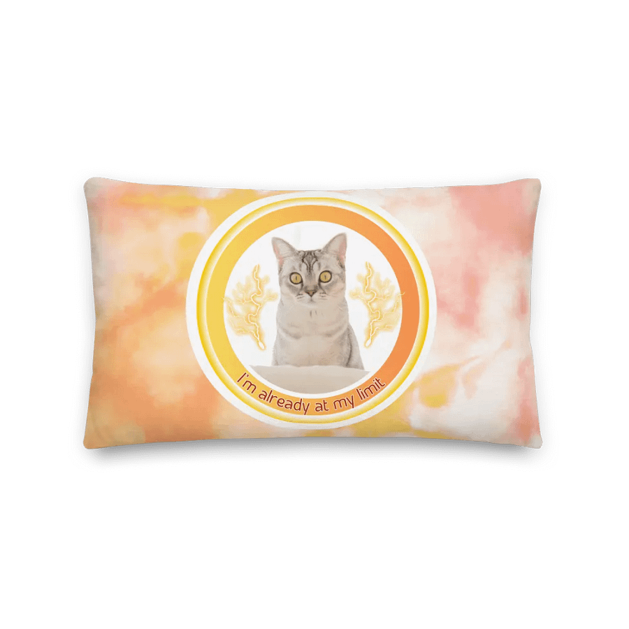 KC, At My Limit (kitty), Tie-dye Piilow product image (2)