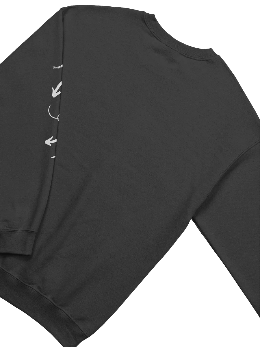 Directionally Challenged Sweatshirt product image (4)
