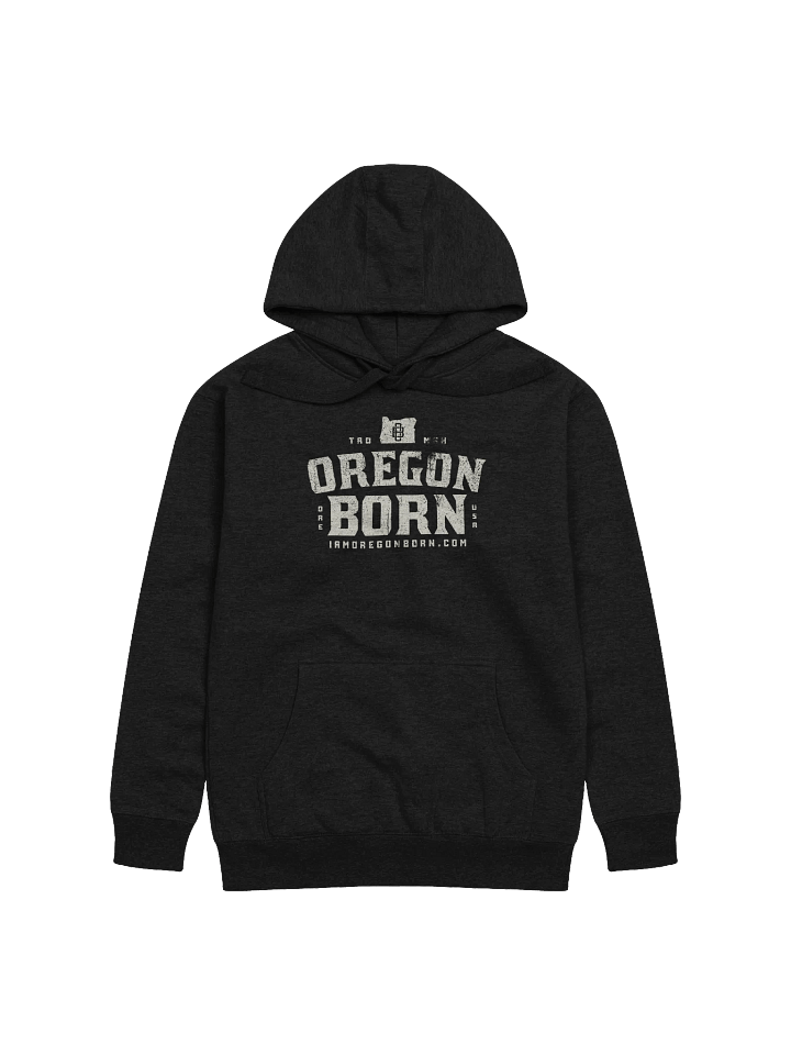 Vintage Collegiate Oregon Born Hoodie product image (1)