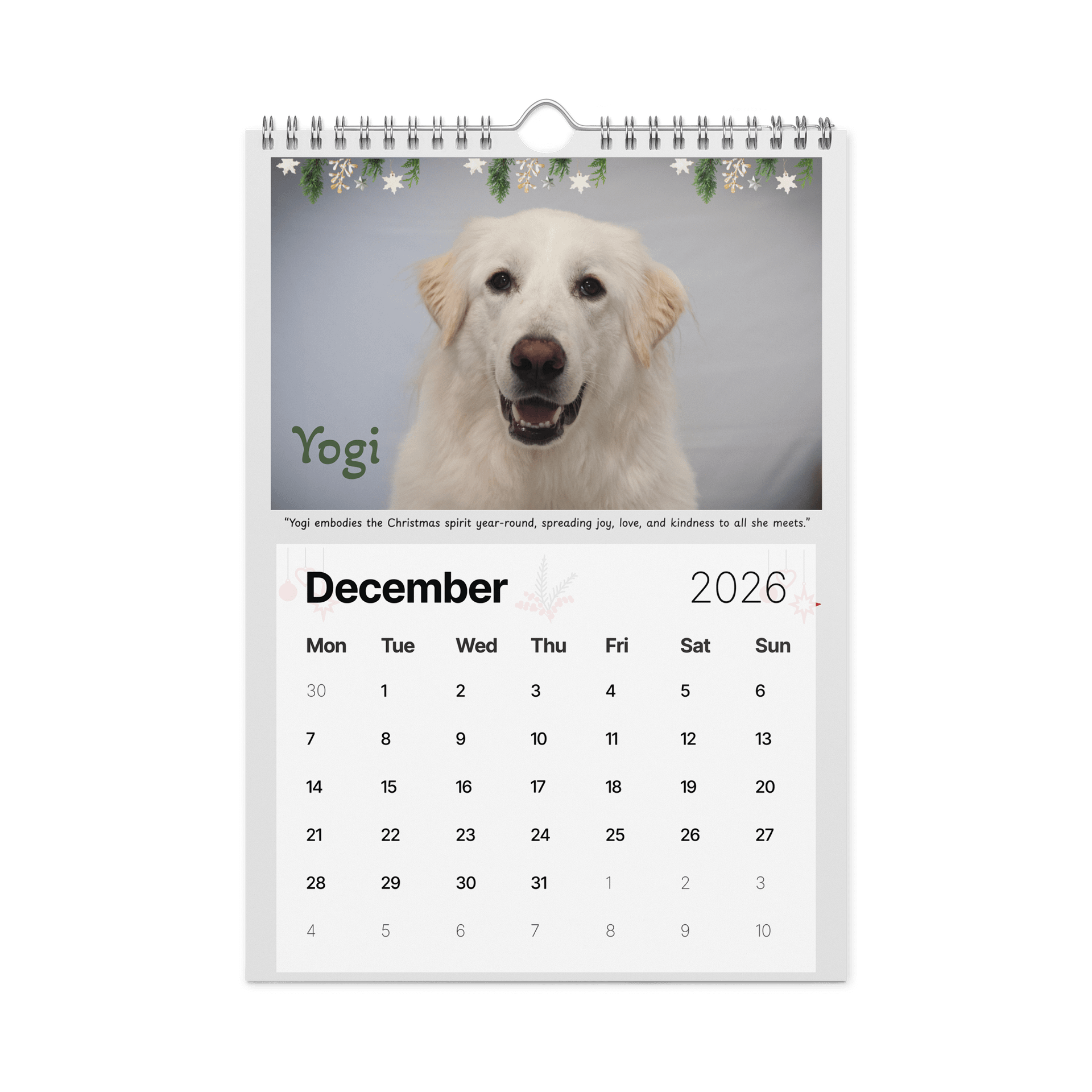 2026 Saving Great Animals Rescue Calendar product image (4)