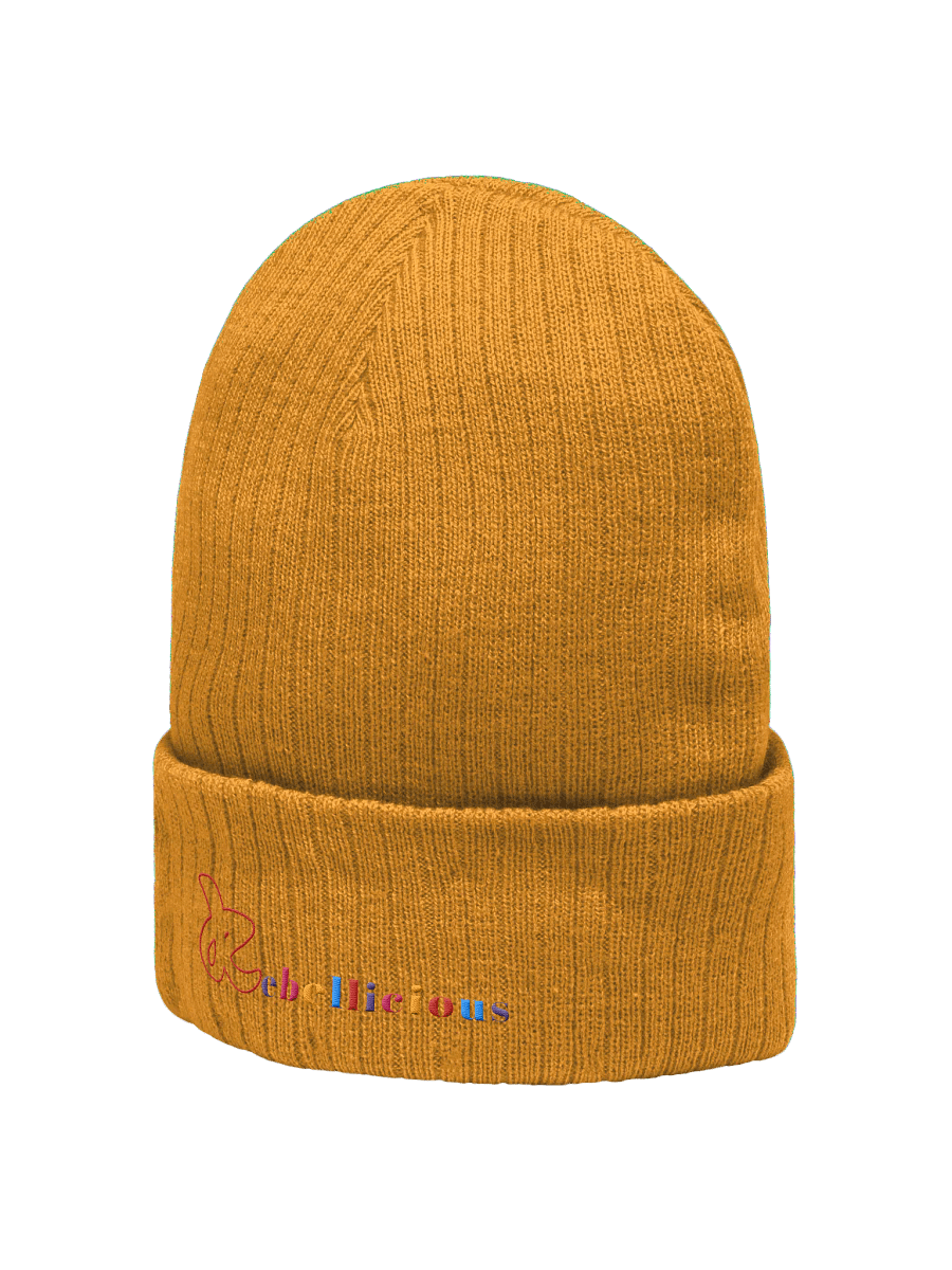 Rebellicious Ribbed Beanie product image (21)