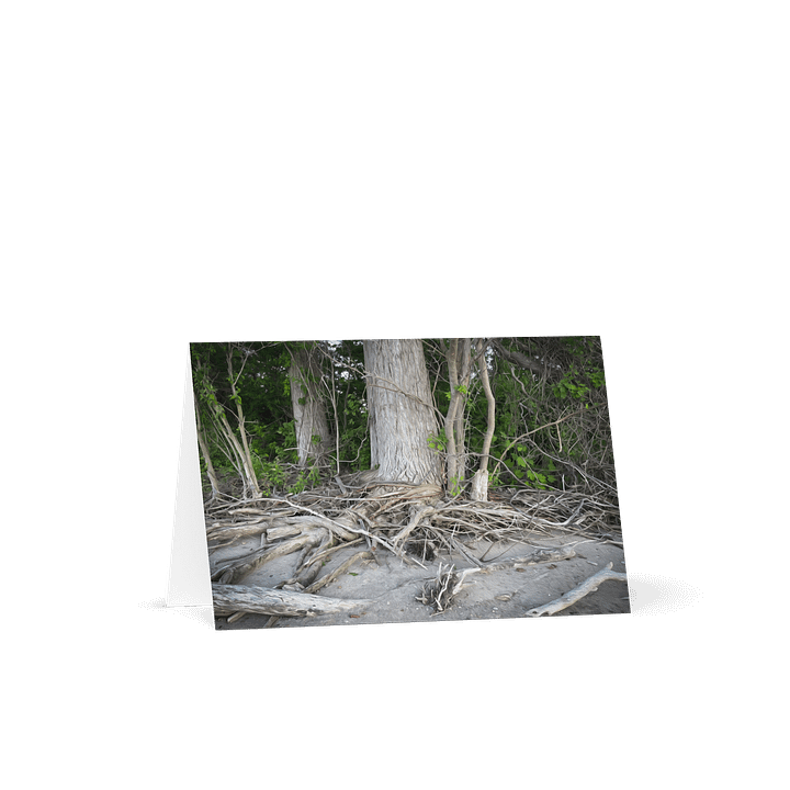 Rooted Greetings product image (1)