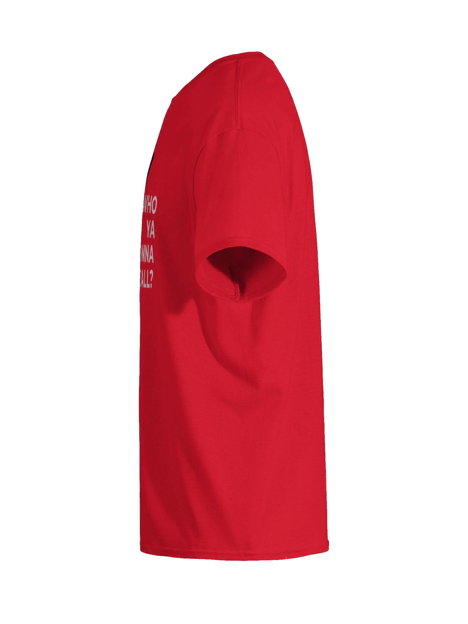 Who Ya Gonna Call? T-Shirt product image (84)