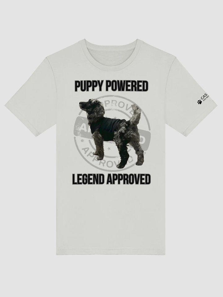 LEGEND APPROVED T-Shirt product image (2)