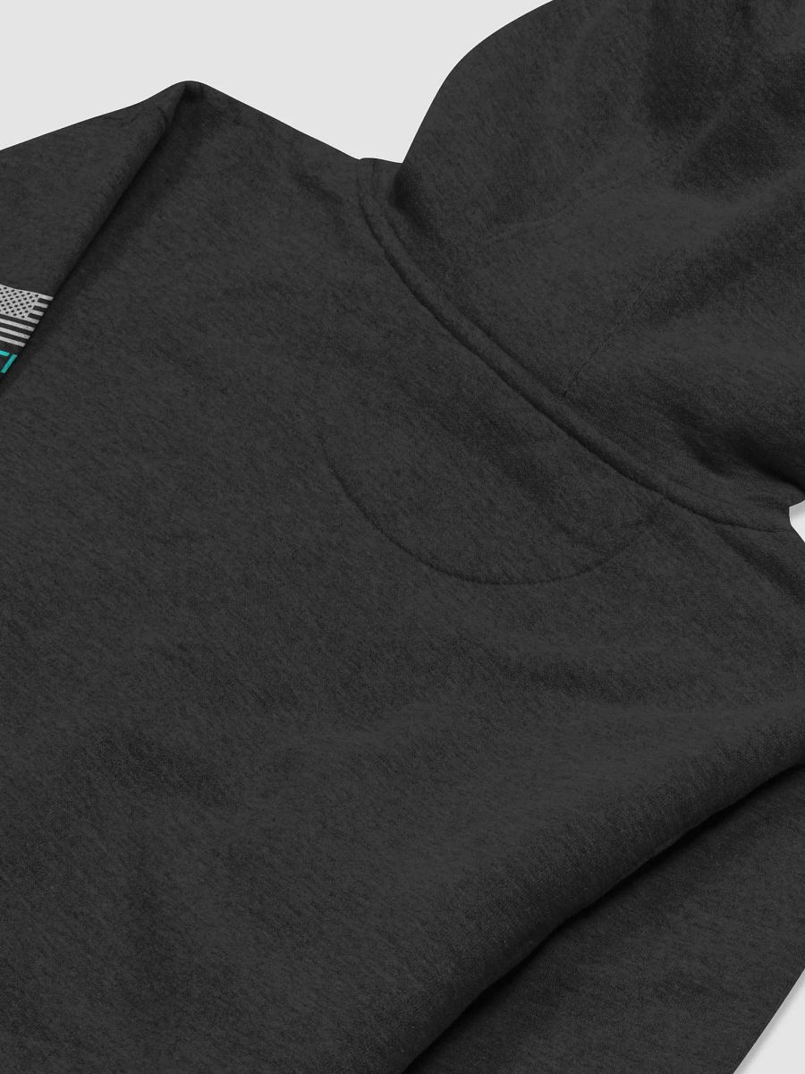 I PLEAD THE 2ND HOODIE product image (4)