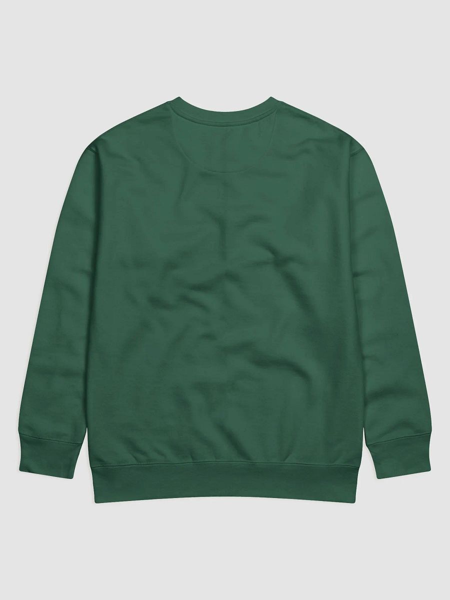 Family Friendly Content Sweatshirt product image (10)