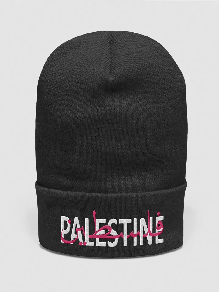 Palestine beanie product image (1)