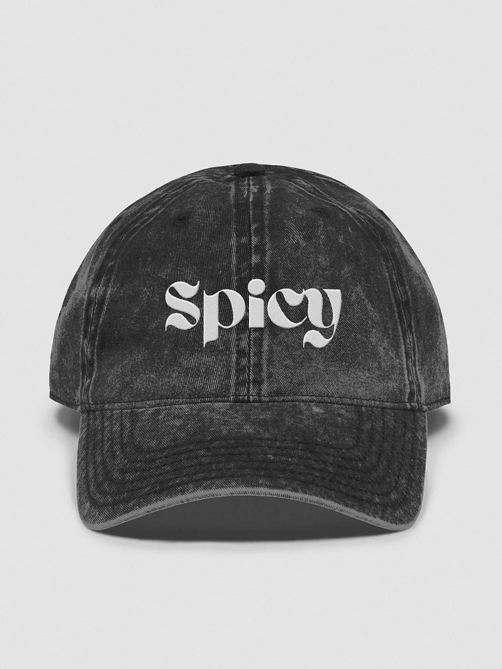 Spicy Vintage Wash Dad Hat product image (2)