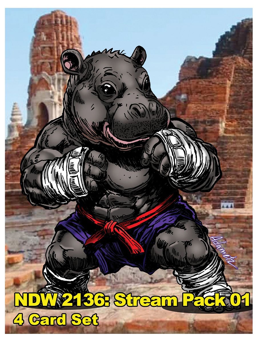 NDW 2136: Stream Pack 01 - Game Cards product image (1)