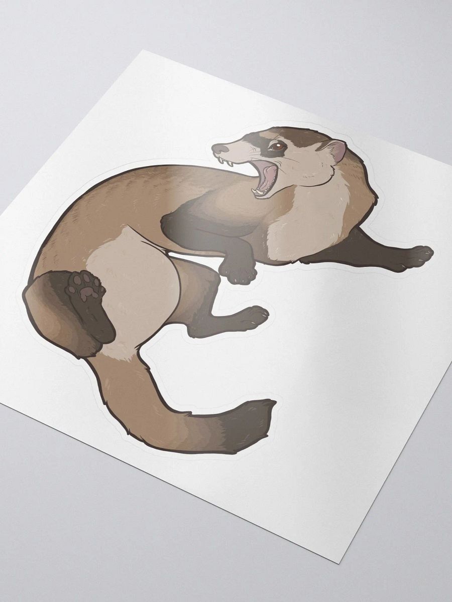 Black Footed Ferret product image (4)