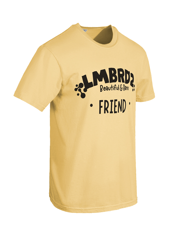 LMBRD2 Comfort T-Shirt -FRIEND product image (46)