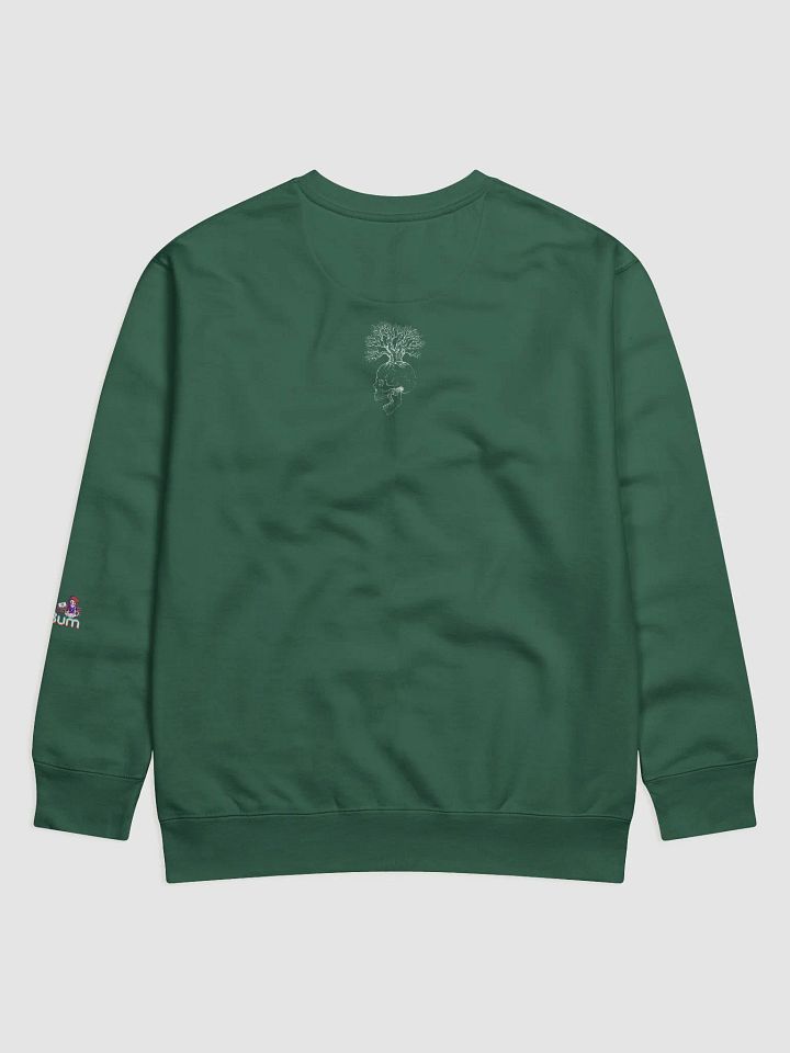 NEURODIVERGENT SKULL premium sweatshirt product image (10)