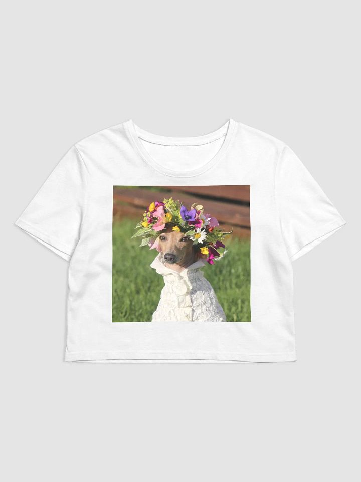 Midsommer Honey Crop Top product image (1)