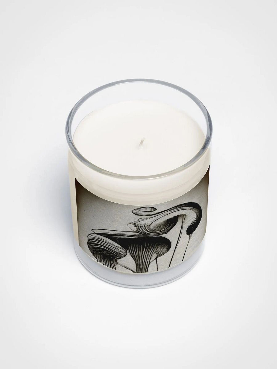 Mystical Mushroom Soy Candle product image (3)