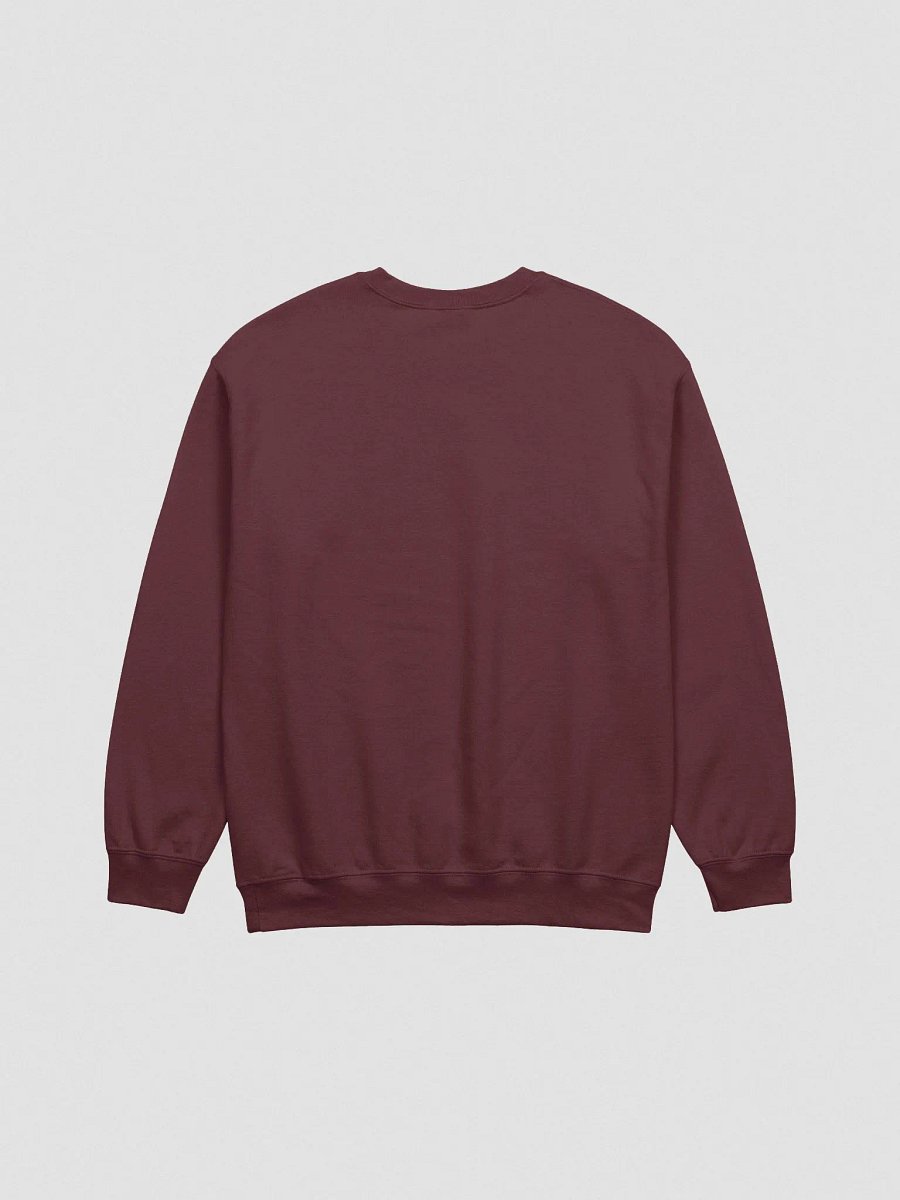 RPR Bravo Embroidered Sweatshirt product image (3)