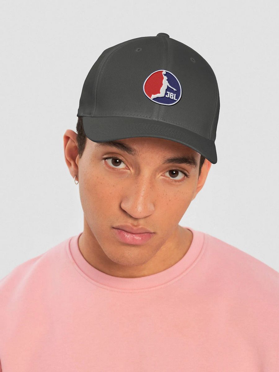 JBL Hat (Gray) product image (5)