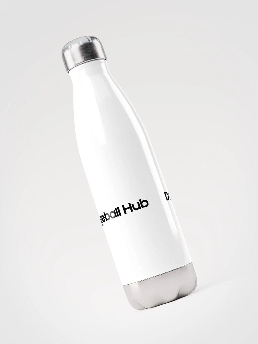 17oz Dodgeball Hub Water Bottle (Dark) product image (3)