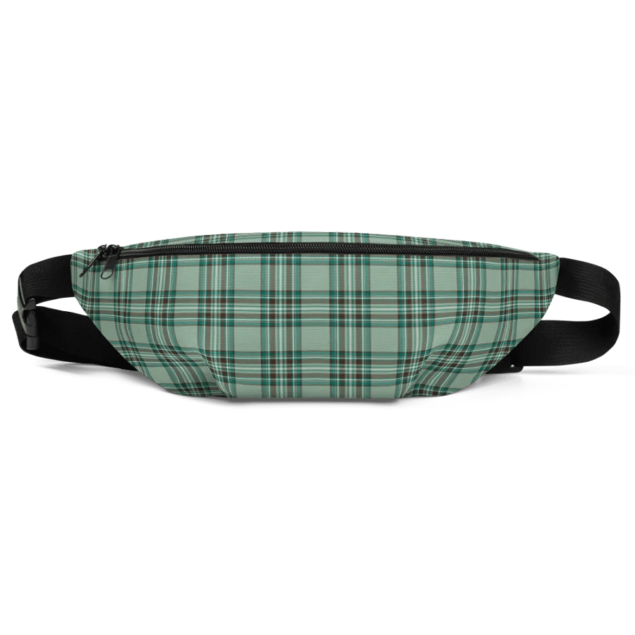 Kelly Tartan Fanny Pack product image (3)