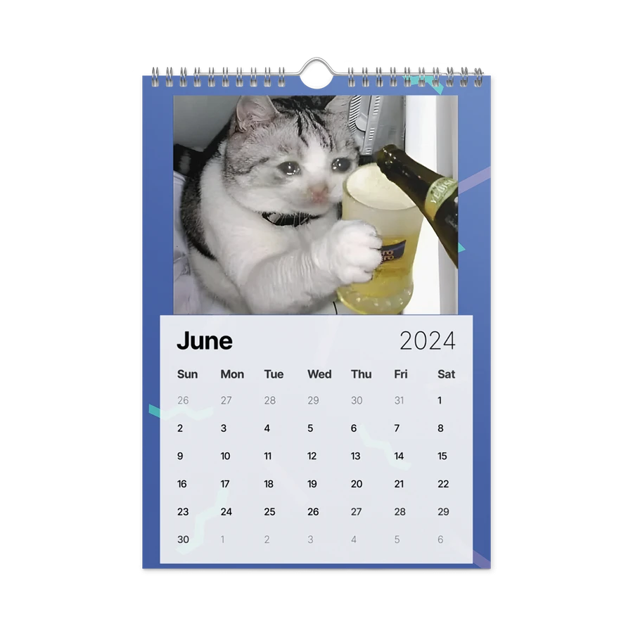 Wall Calendar (2024): Meme Cats product image (12)