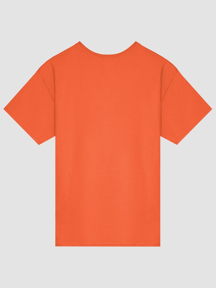 Healthy Wealthy Vegetarian & Vegan Tee product image (2)
