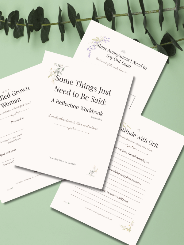 Some Things Just Need to Be Said: A Reflection Workbook product image (3)