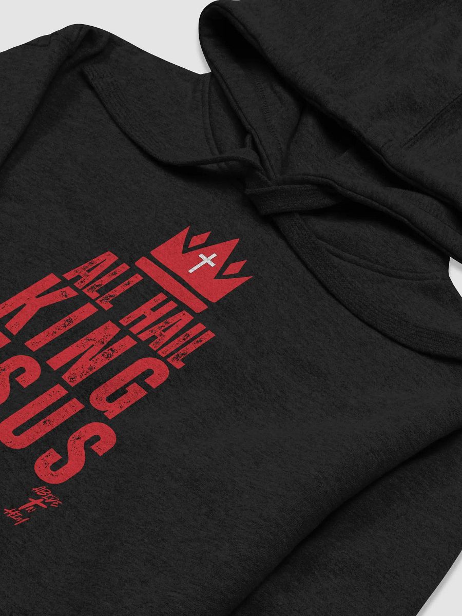 Abide In Him Christian Clothing - All Hail King Jesus Premium Hoodie product image (3)