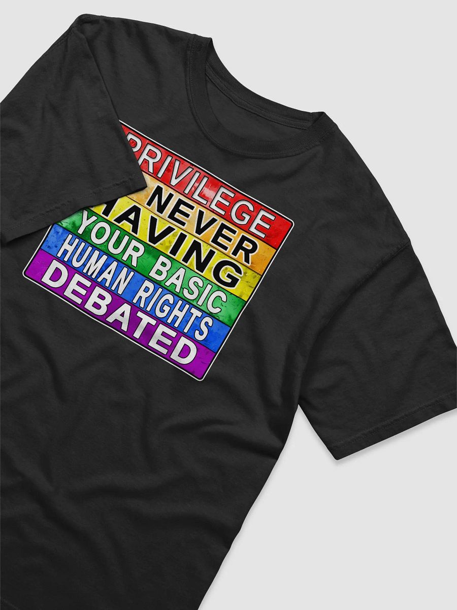 Privilege Is Never Having Your Basic Human Rights Debated T-Shirt product image (7)