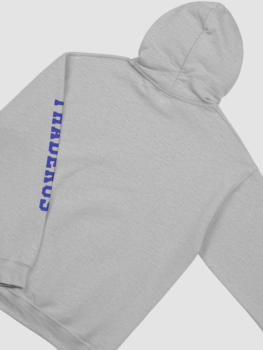 Grey Hoodie product image (3)
