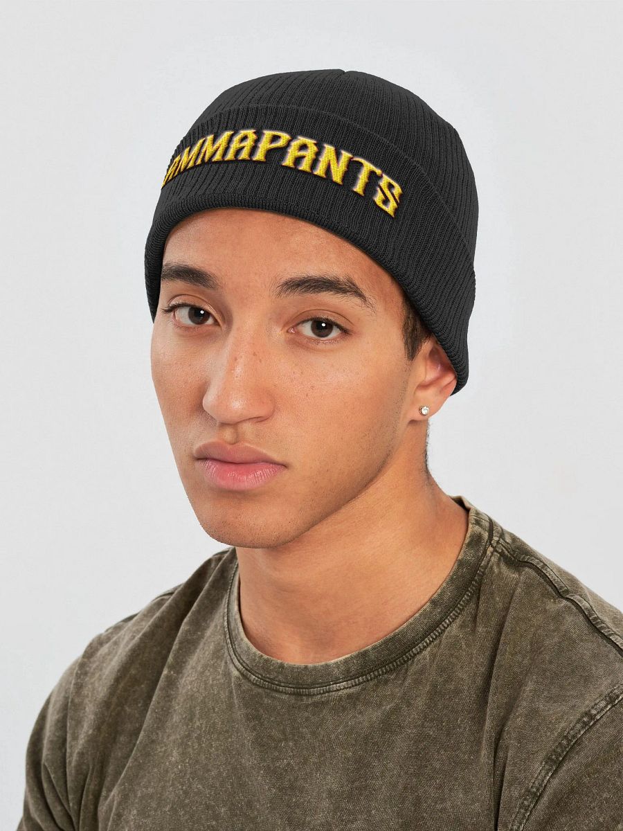 Hammapants Fitted Beanie product image (3)