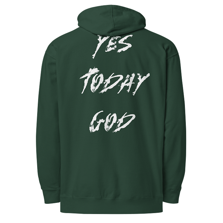 The Lives On HIGH | YTG STEALTH | UNISEX Hoodie | Alpine Green product image (2)