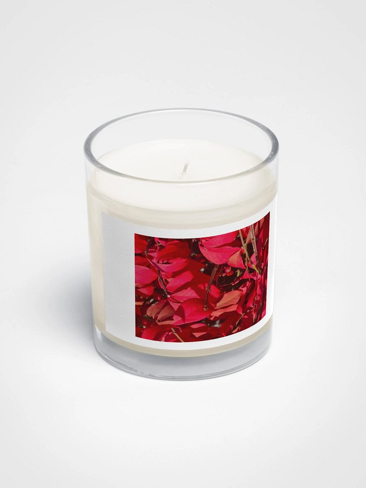 Crimson Canopy Soy Wax Candle product image (2)