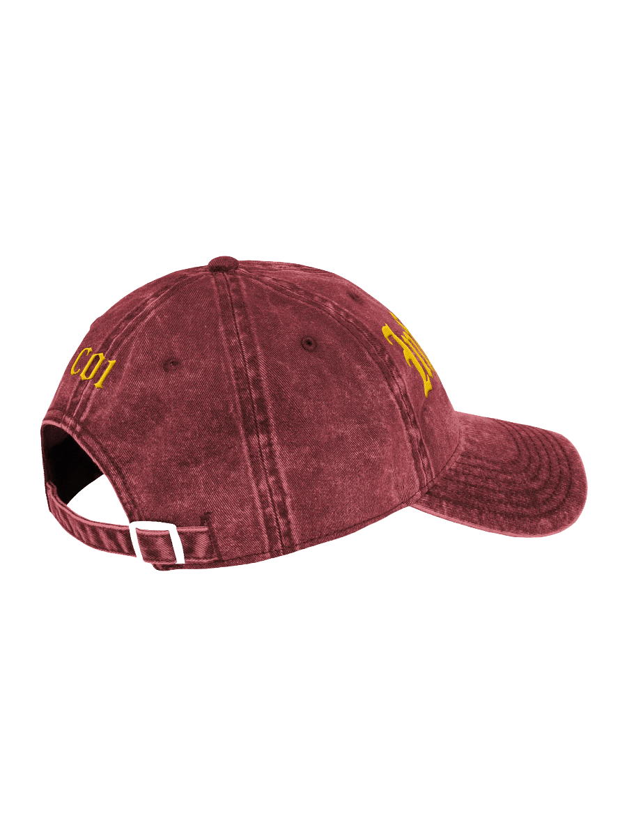 Team Infinights Embroidered Hat product image (12)