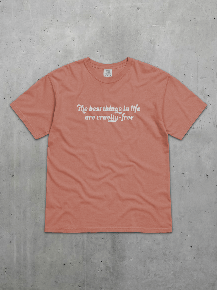 The Best Things In Life Tee product image (1)