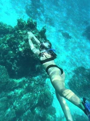 Snorkeling is my favorite hobby. 👌 #vacationmode #mexico🇲🇽 #fypシ #snorkeling #oceanlife 